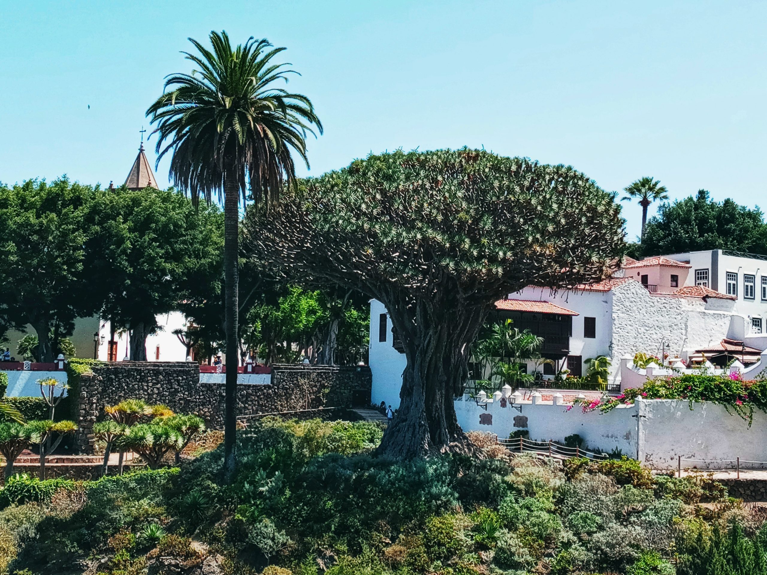 Icod de Los Vinos, Puerto de la Cruz y La Orotava