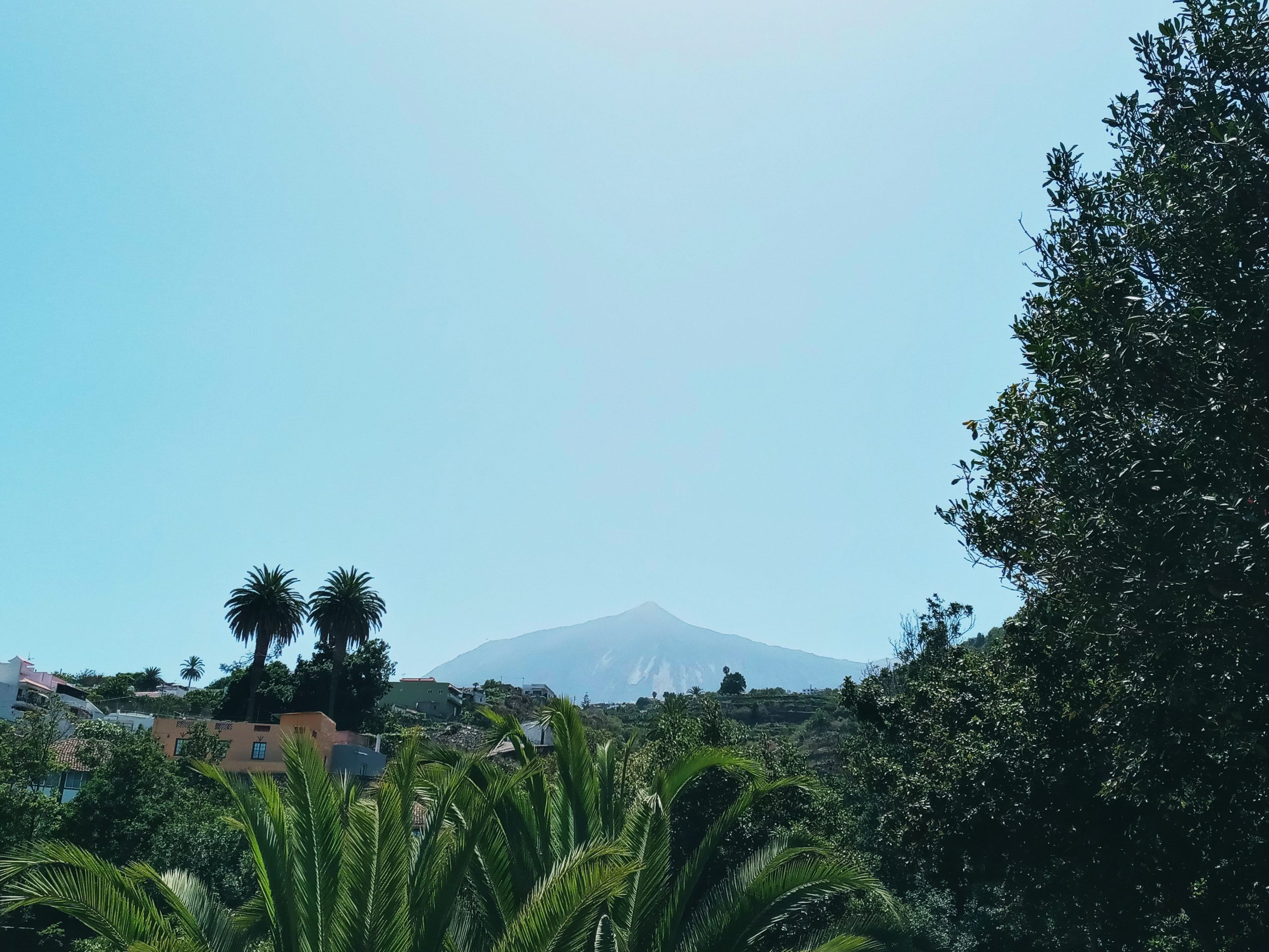 Icod de Los Vinos, Puerto de la Cruz y La Orotava