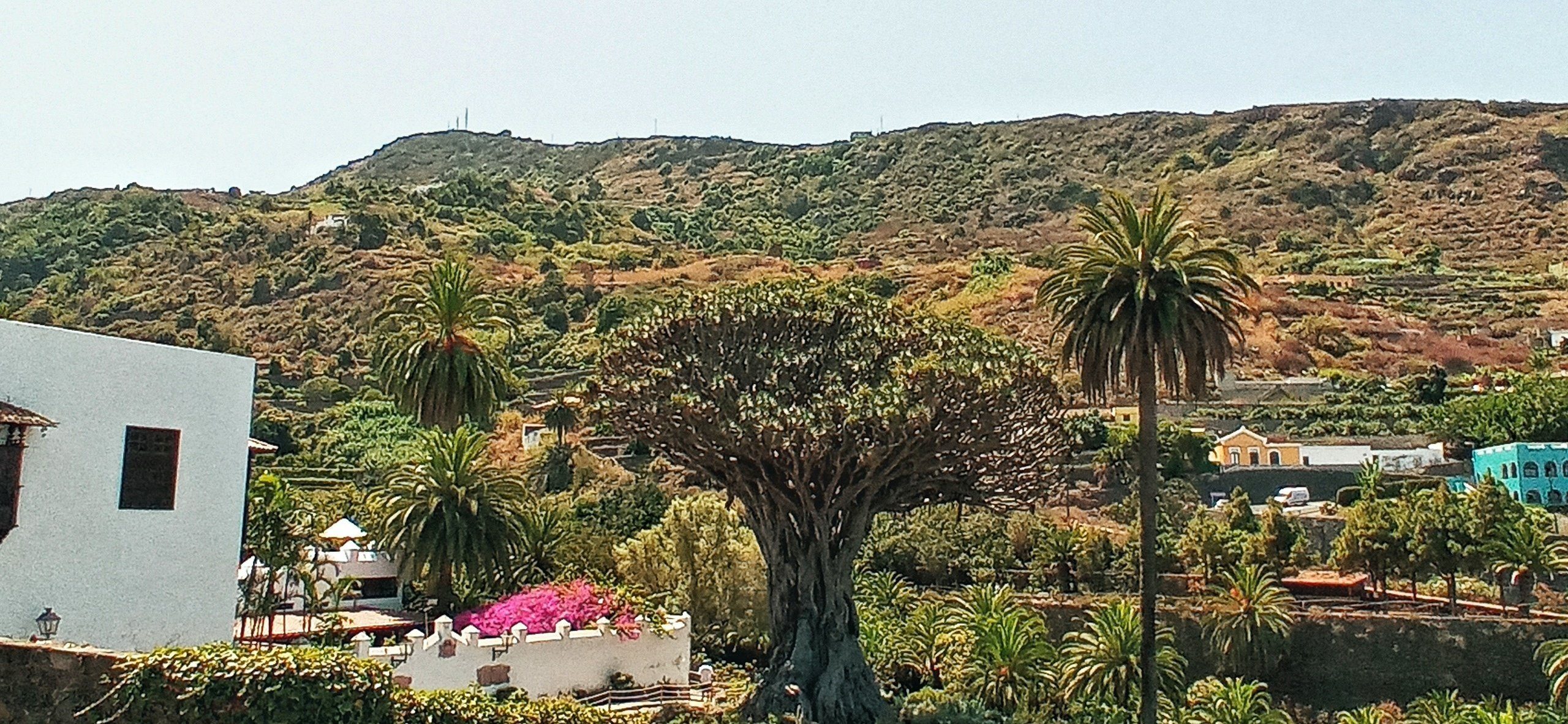 Icod de Los Vinos, Puerto de la Cruz y La Orotava