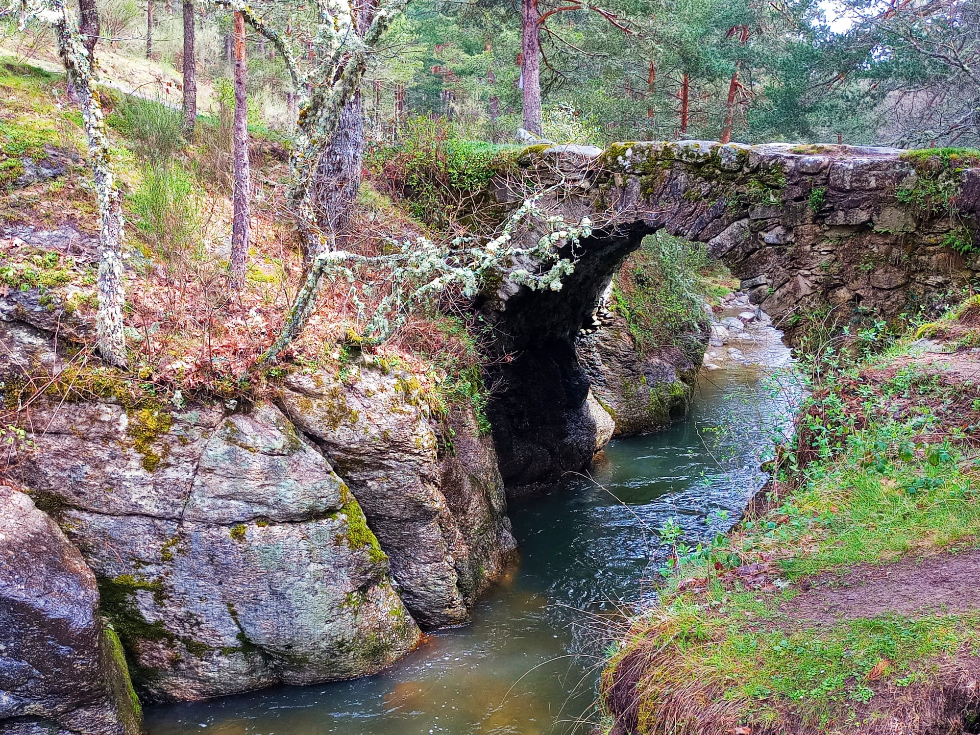 Disfruta del Valle de la Angostura. Una ruta Top por la Sierra Madrileña