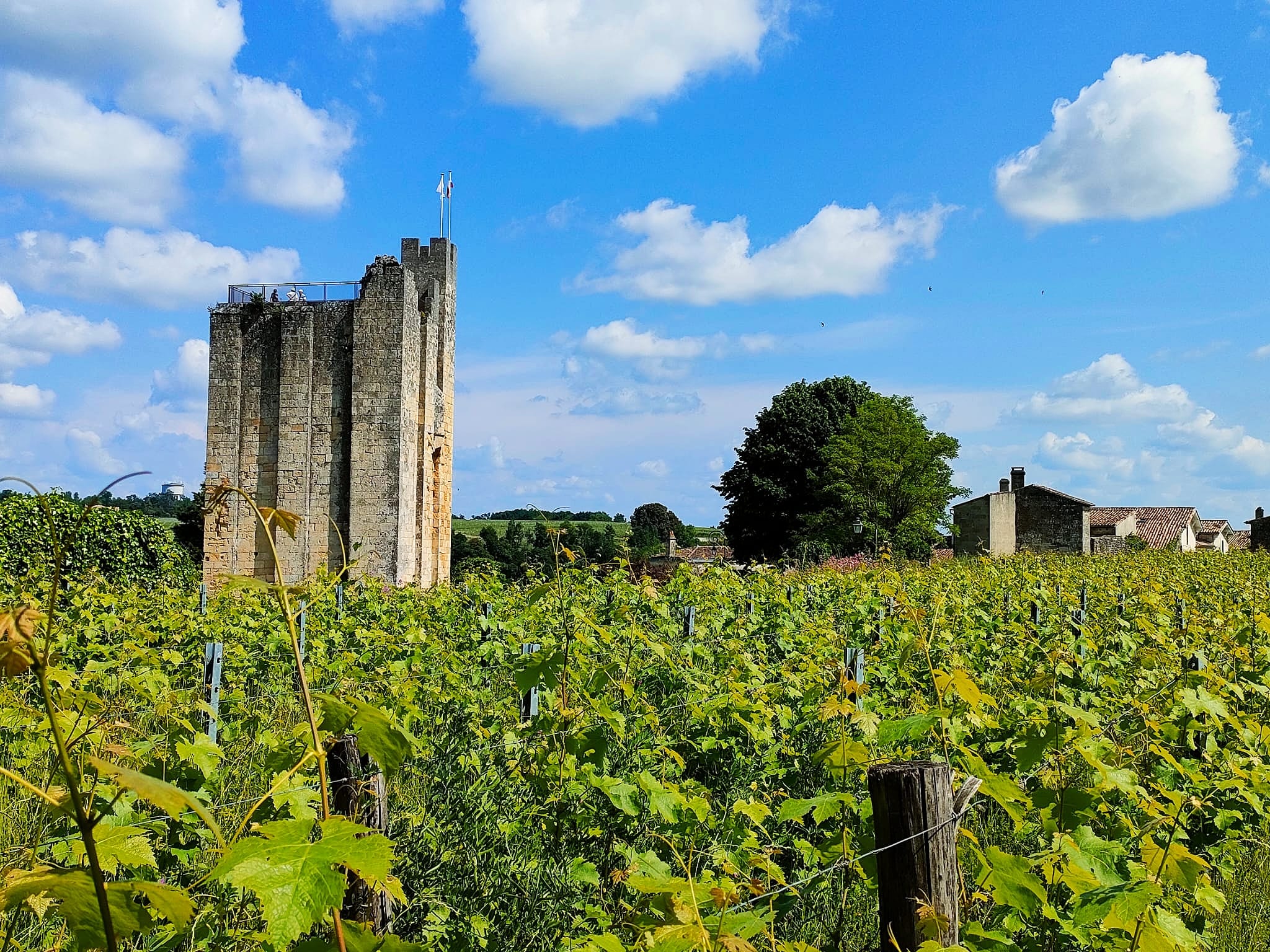 Saint Emilion