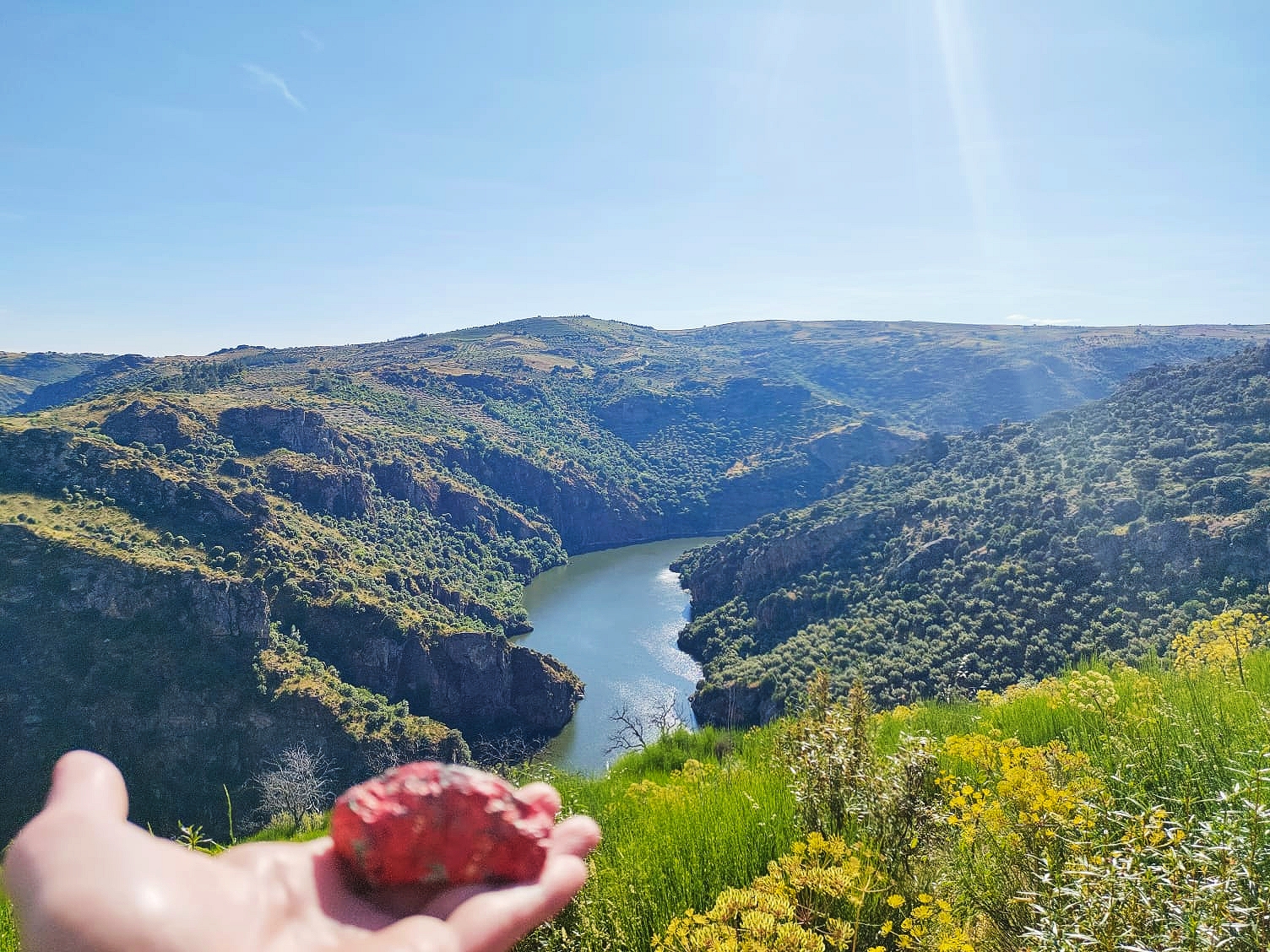 Meandro del Duero Vive la Vida Roca