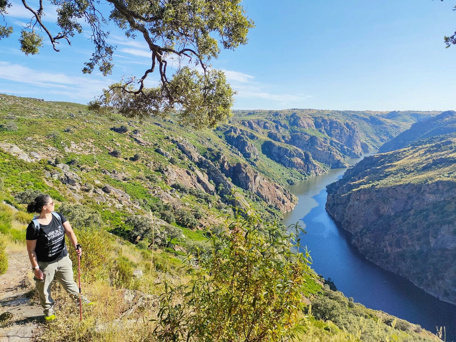 Meanadro Duero Vive la Vida Roca